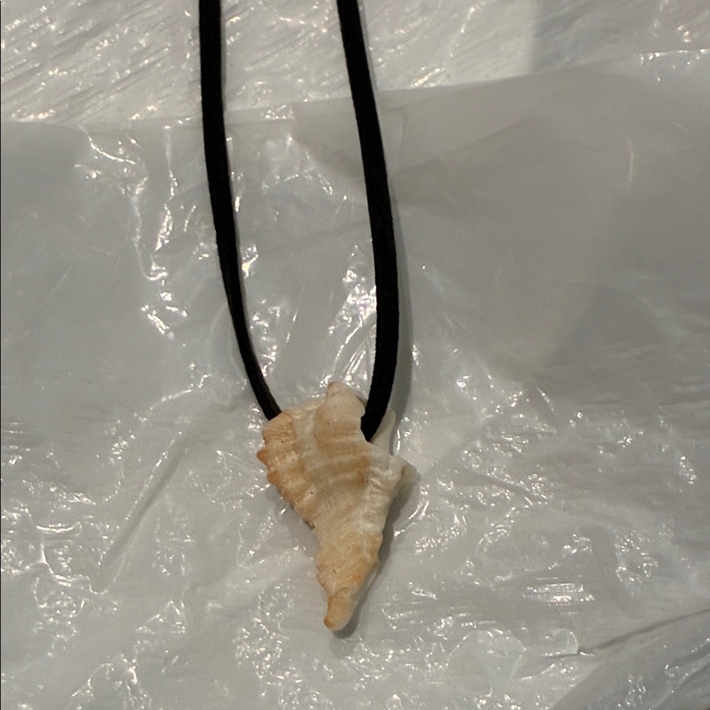 Shell Pendant Necklace